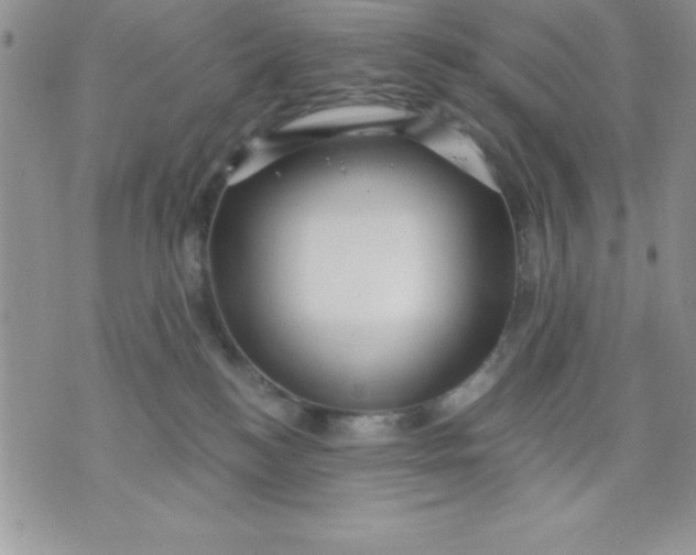 X0000071330184200607141915