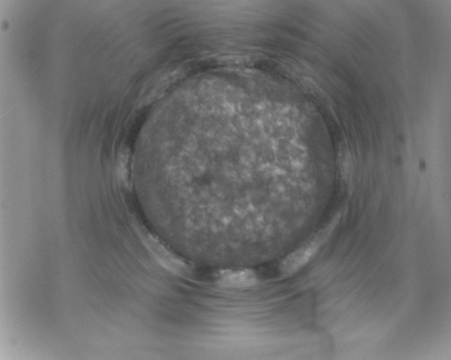 X0000071330185200607141915