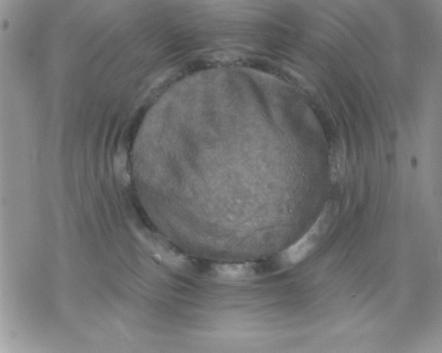 X0000071330187200607141915