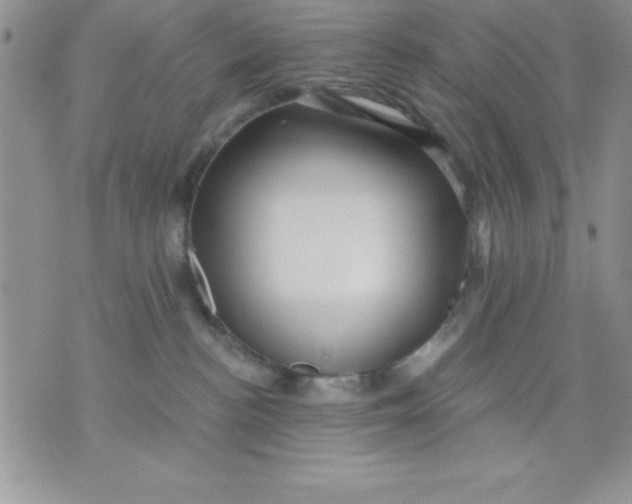 X0000071330188200607141915