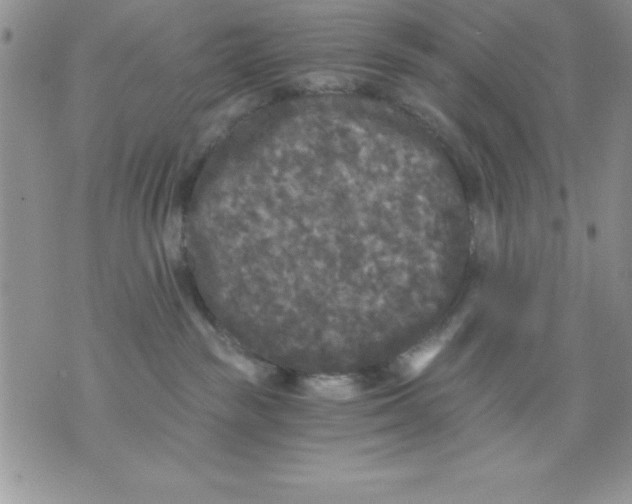 X0000071330189200607141915