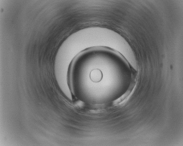 X0000071330190200607141915