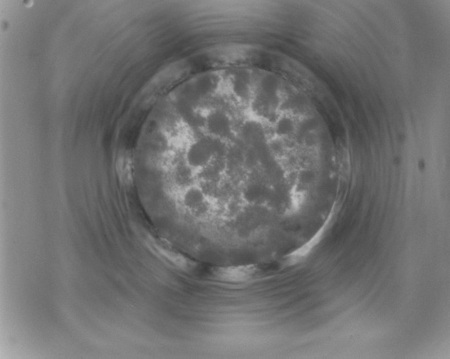 X0000071330191200607141915