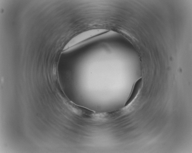 X0000071330192200607141915