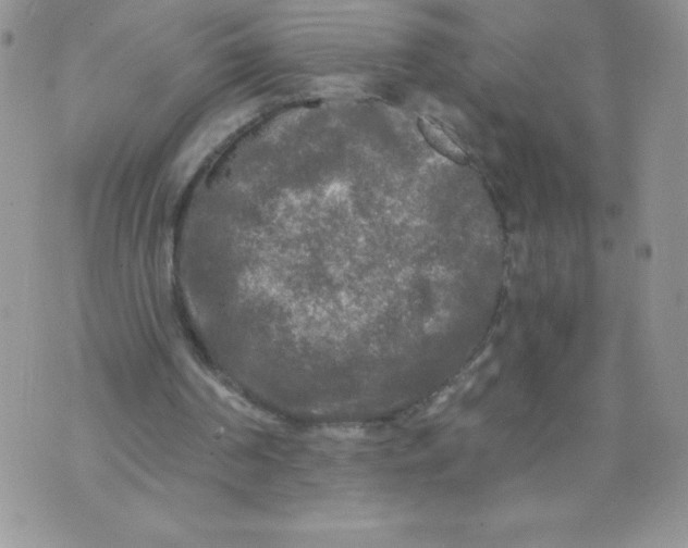 X0000071330194200607141914