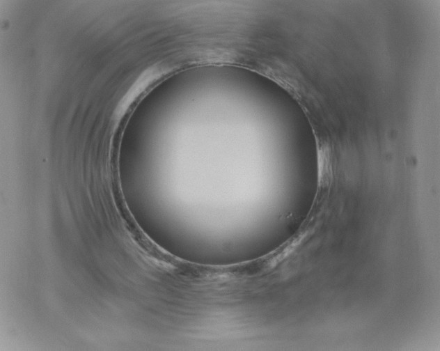 X0000071330195200607141914