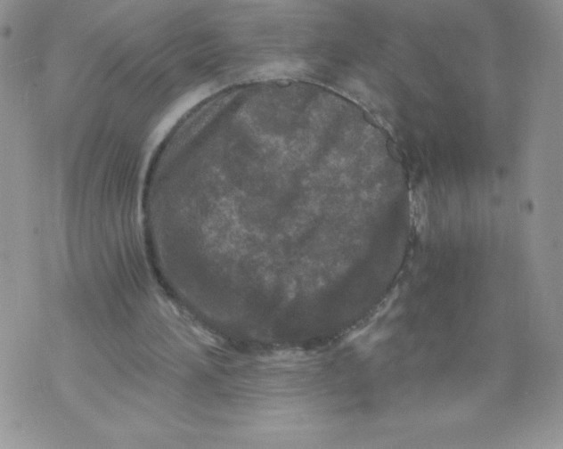 X0000071330196200607141914