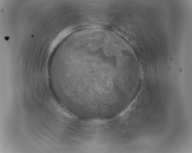 X0000071330198200607141914