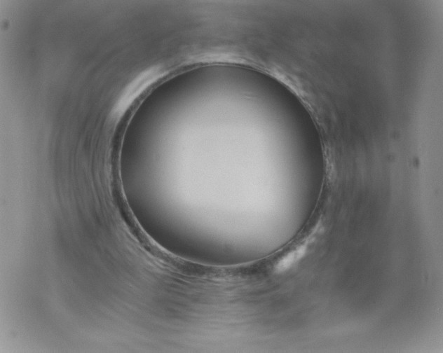 X0000071330199200607141914