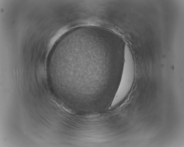 X0000071330200200607141914