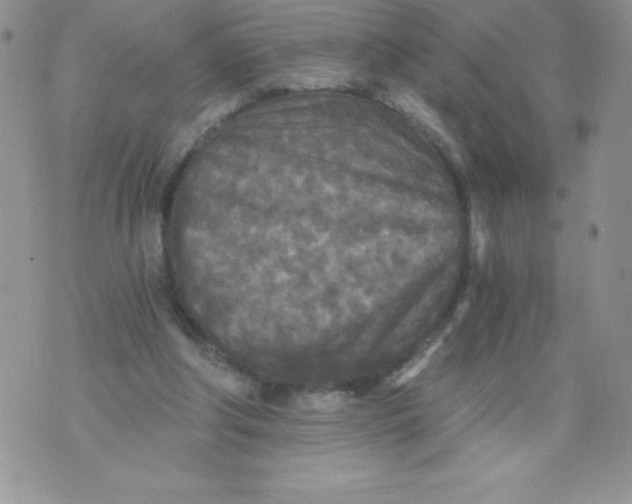 X0000071330202200607141914