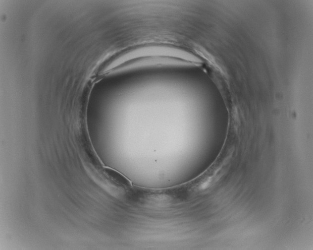 X0000071330203200607141914