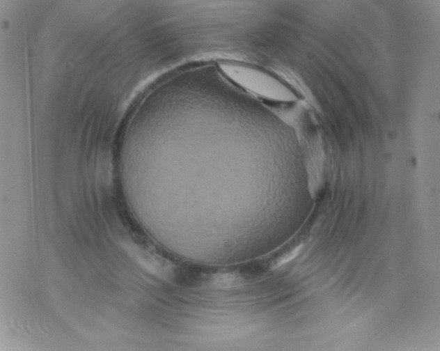 X0000071330204200607141914