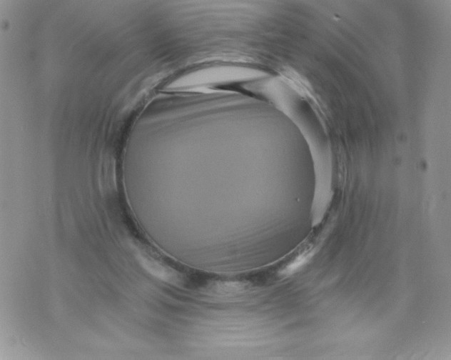 X0000071330205200607141914