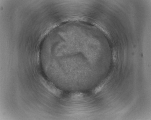 X0000071330206200607141914