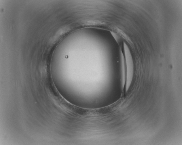 X0000071330207200607141914