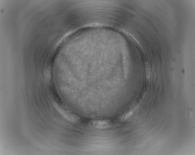 X0000071330208200607141914