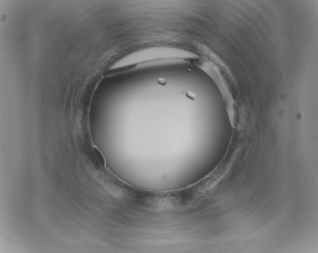 X0000071330209200607141914