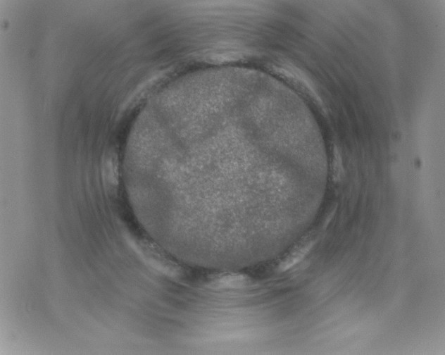 X0000071330210200607141914