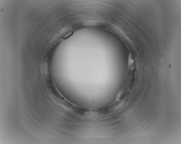 X0000071330211200607141914