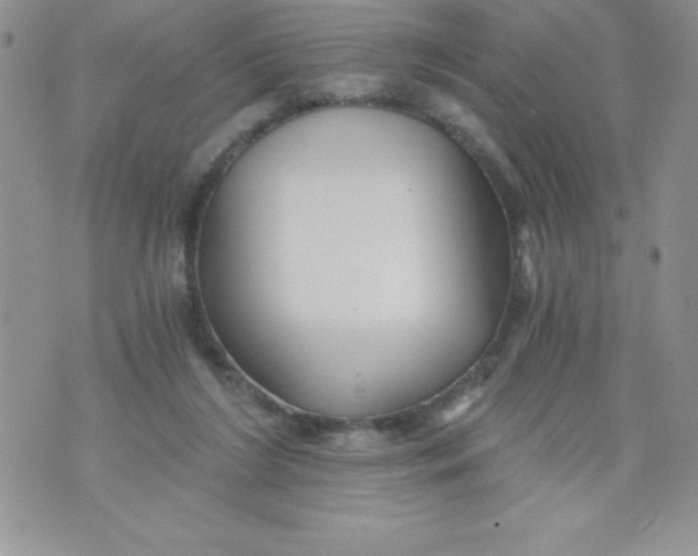 X0000071330212200607141914