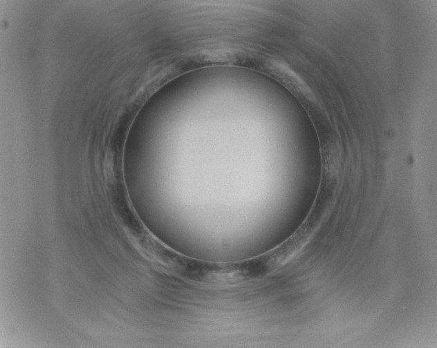 X0000071330213200607141914