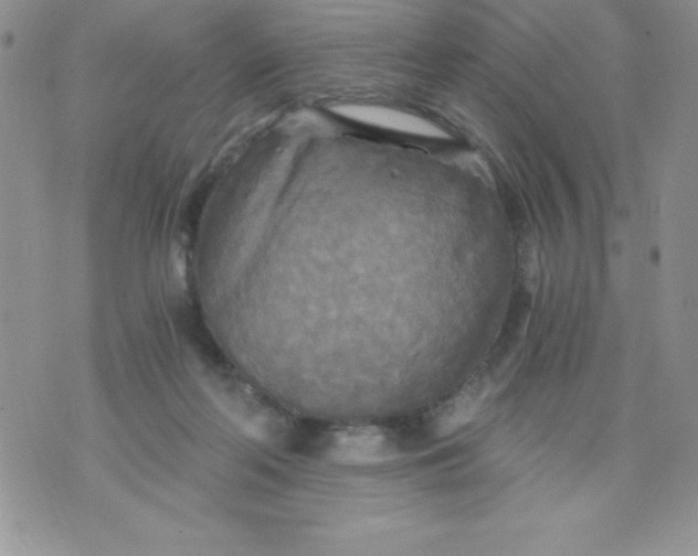 X0000071330214200607141914