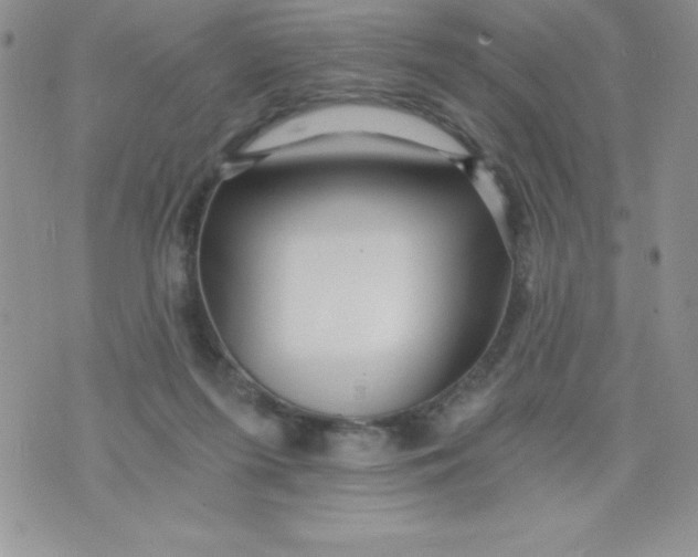 X0000071330215200607141914