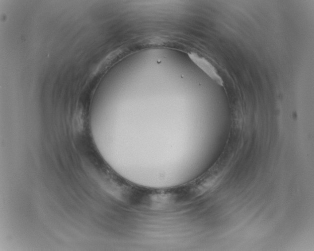 X0000071330216200607141914