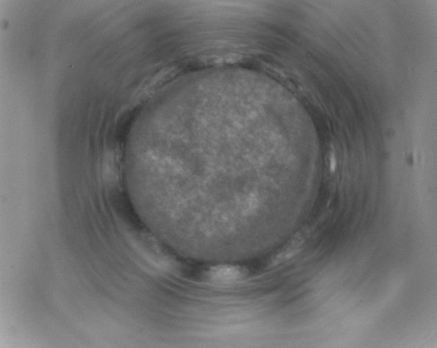 X0000071330218200607141913