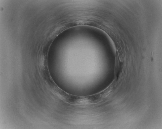 X0000071330219200607141913