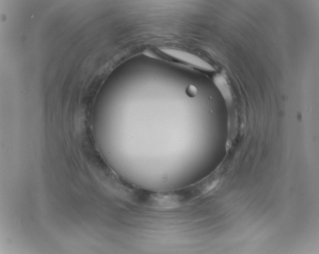 X0000071330221200607141913