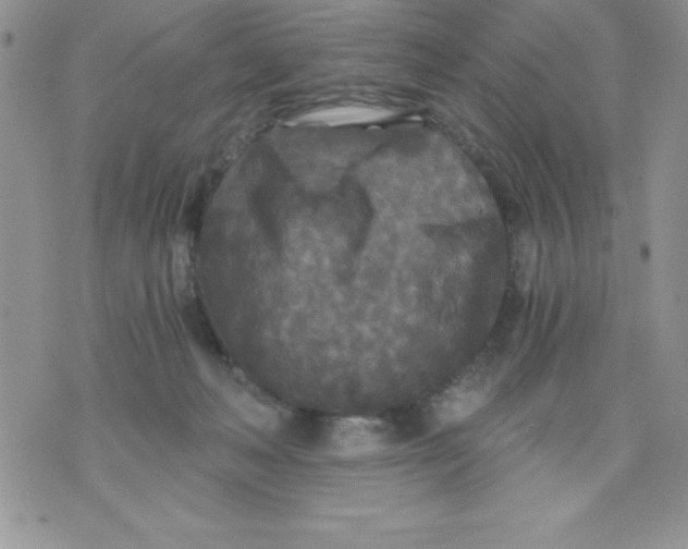 X0000071330222200607141913