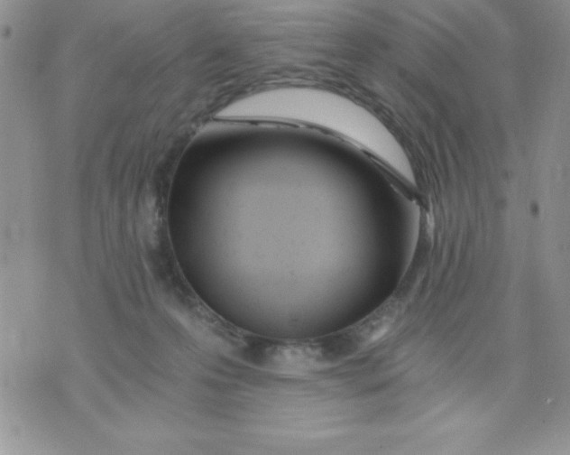 X0000071330223200607141913