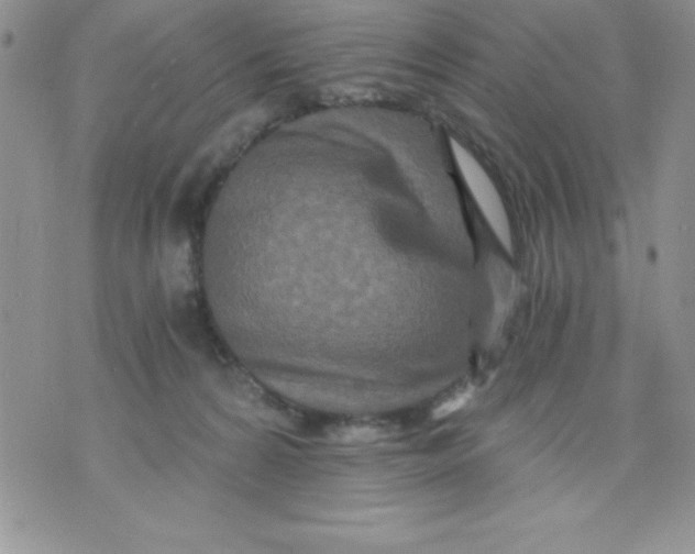 X0000071330224200607141913