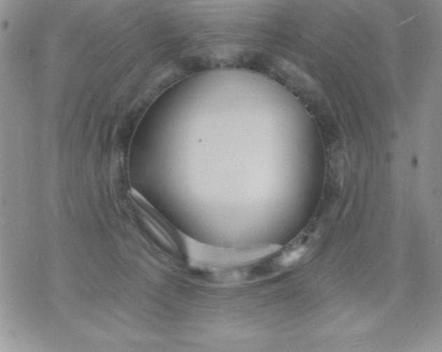 X0000071330225200607141913