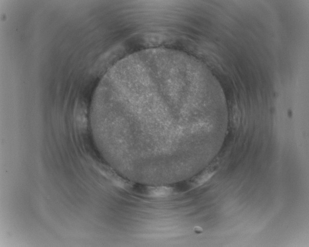 X0000071330226200607141913