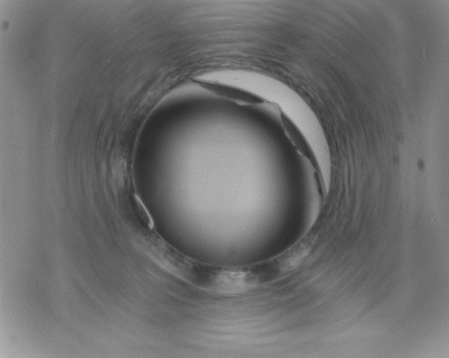 X0000071330227200607141913