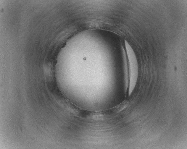 X0000071330228200607141913