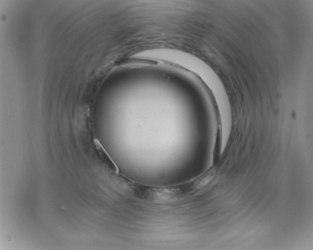 X0000071330229200607141913