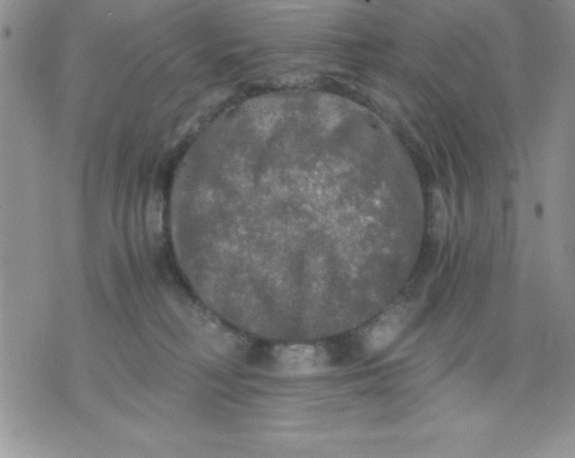 X0000071330230200607141913