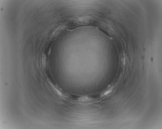 X0000071330231200607141913