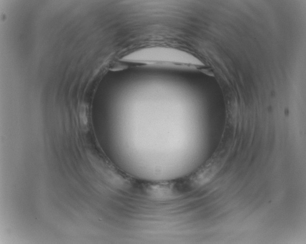 X0000071330232200607141913