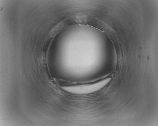 X0000071330233200607141913