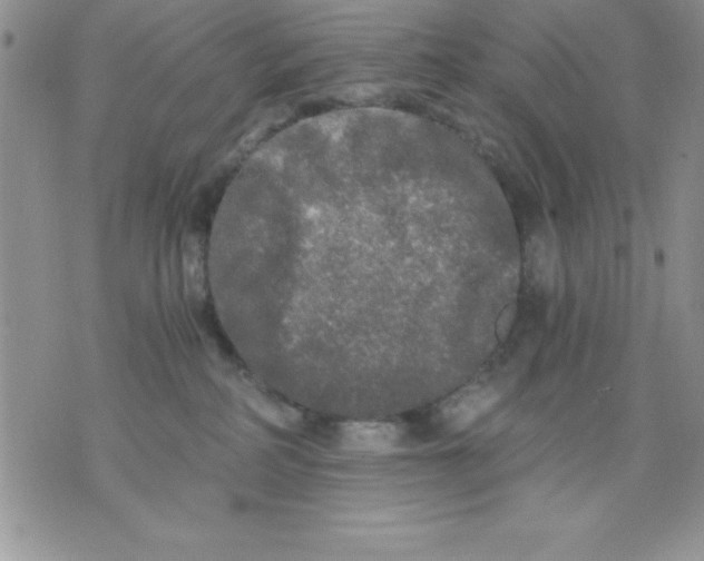 X0000071330234200607141913