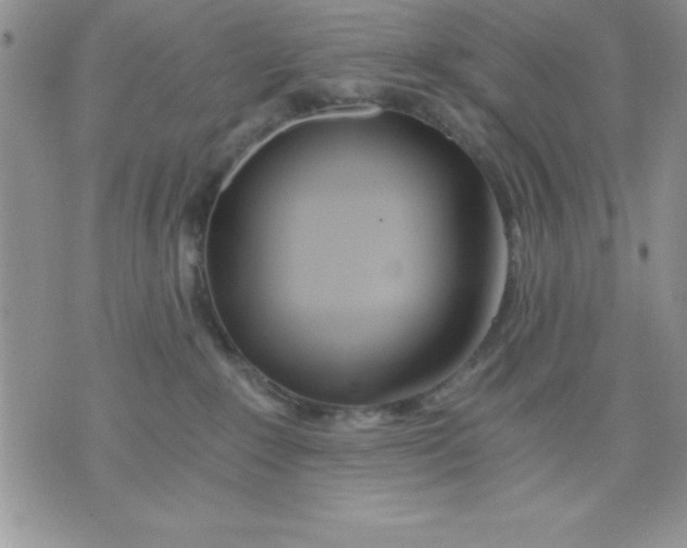 X0000071330235200607141913