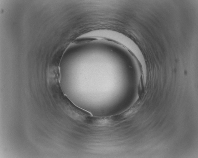 X0000071330237200607141913