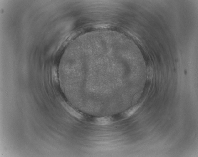 X0000071330238200607141913