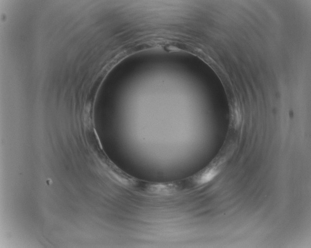 X0000071330239200607141913