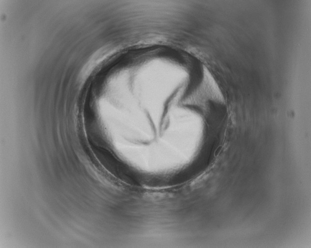 X0000071330242200607141912